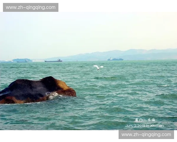 隐秘的沸腾与极致的优雅：当浙江遇见厦门，谁才是中国沿海的灵魂归宿？